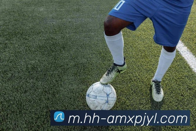 新葡京娱乐平台生态图