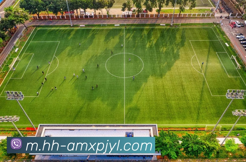 新葡京娱乐全站App 新葡京娱乐全站App